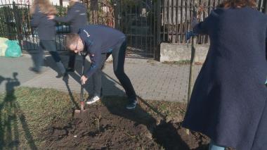 Finał akcji Zieleń na mur-beton