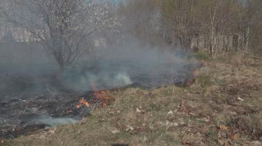 Pożar traw w Redzie