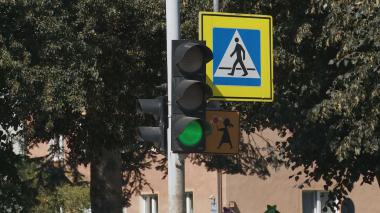 Przygotuj dzieci do bezpiecznej drogi do szkoły