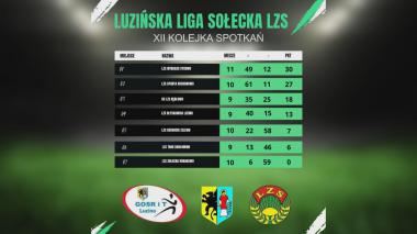 Trwa Luzińska Liga Sołecka