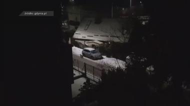 Leśny drapieżnik w miejskiej dżungli