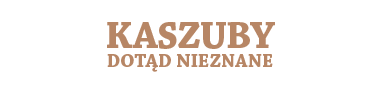 nazwa programu